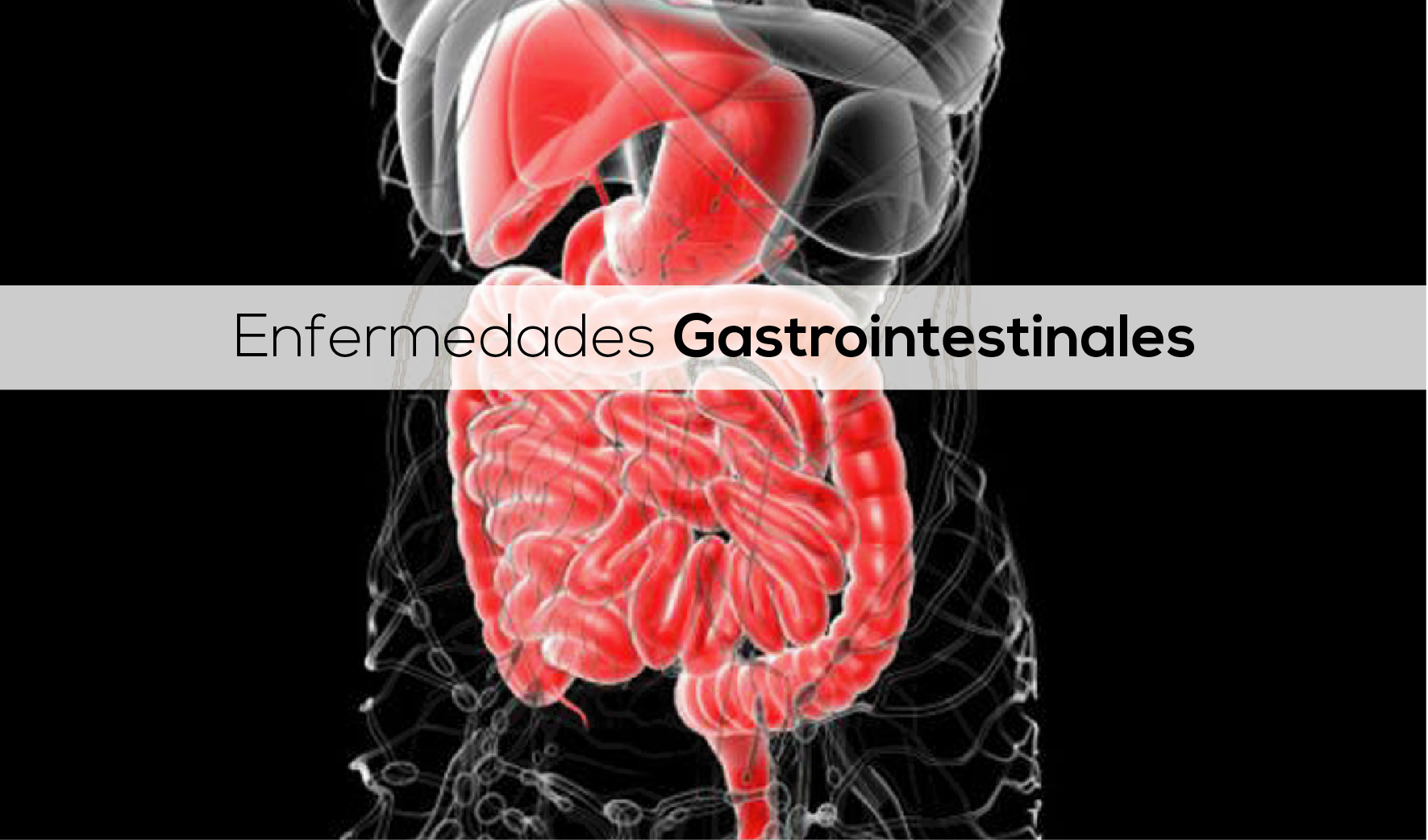 Estrés y enfermedades gastrointestinales – Clínica Pueyrredon